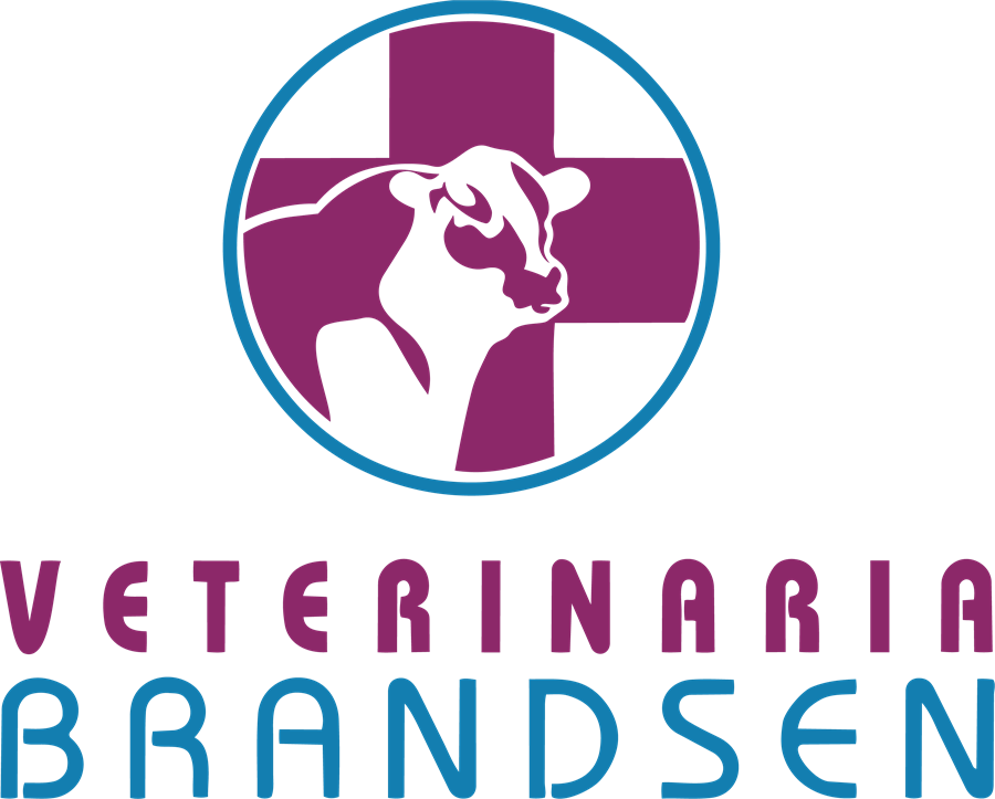 Veterinaria Brandsen